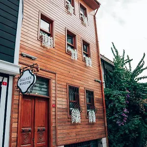 ** Hotel Gulliver Mansion Türkei